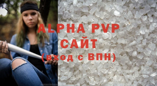 шишки Билибино