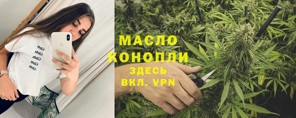 дмт Новодвинск
