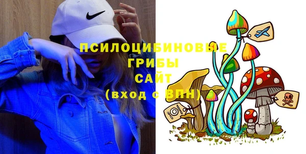 дмт Новодвинск