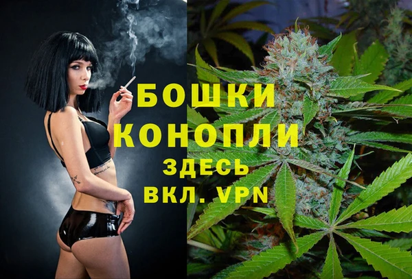 ALPHA-PVP Новозыбков