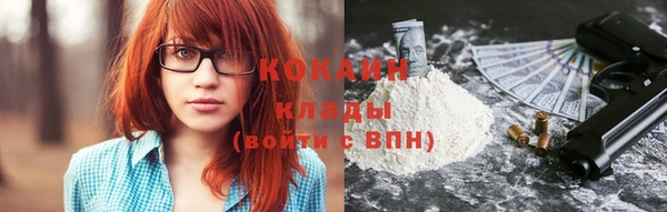 дмт Новодвинск