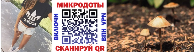 цены наркотик  Кириллов  Галлюциногенные грибы Psilocybine cubensis 